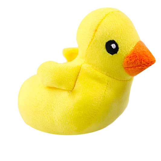 Duck toy